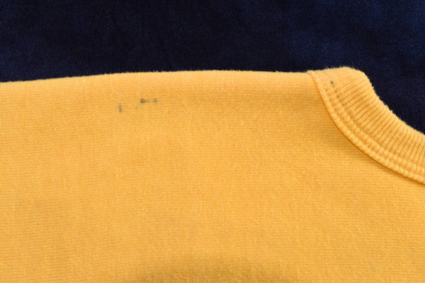 Vintage 70s Pittsburgh Steelers Russell Athletic Ls Shirt Size Large