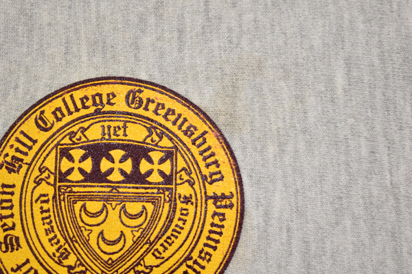 Vintage 90s Champion Seton Hill University Reverse Weave Sweatshirt Size Large