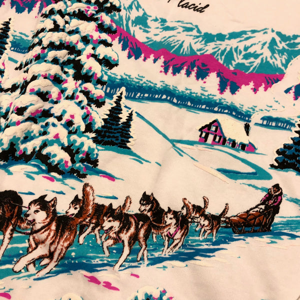 Vintage 90s DSWT Lake Placid Wolves Puff Print Sweatshirt Size X-Large
