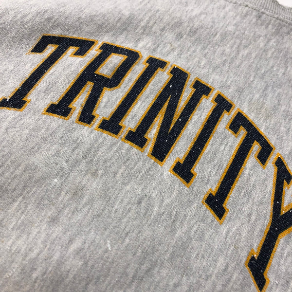 Vintage 90s Champion Trinity College Distressed Reverse Weave Sweatshirt Size X-Large