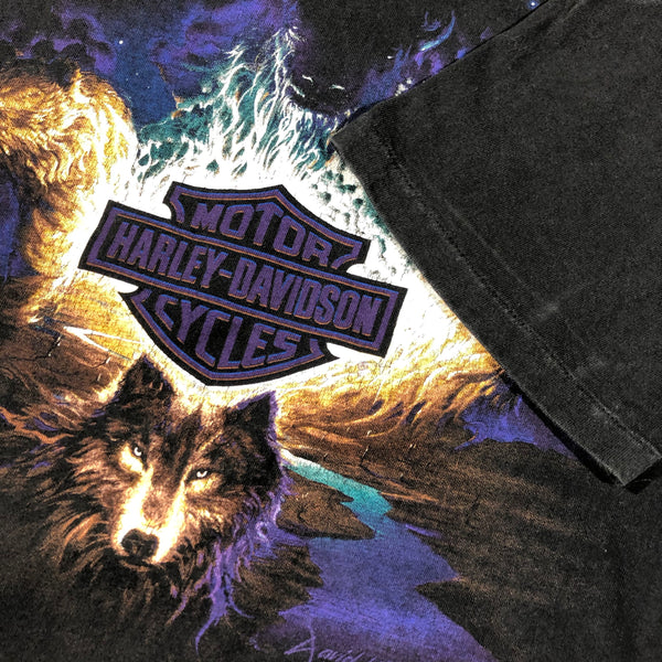 1995 Harley Davidson David Uhl Artist Single Stitch Shirt Size X-Large