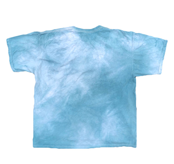 2001 The Mountain Native American Girl Tie Dye Shirt Size X-Large - Beyond 94