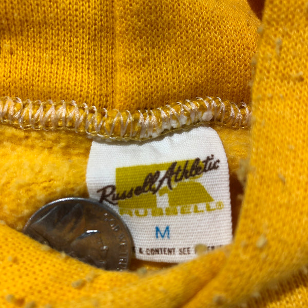 Vintage 70s Pitt Panthers Russell Athletic 50/50 Blend Hoodie | Beyond 94