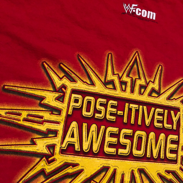 2000 WWF Edge & Christian "Pose-Itively Awesome" Shirt Red Size Medium - Beyond 94